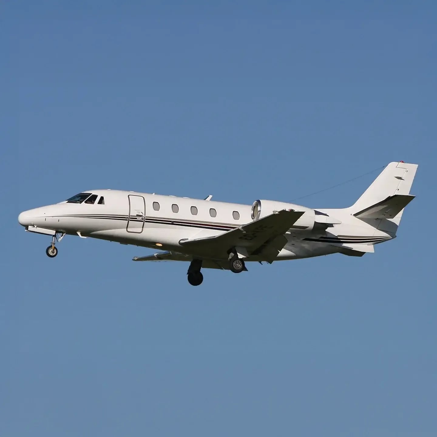 Citation Excel Banner